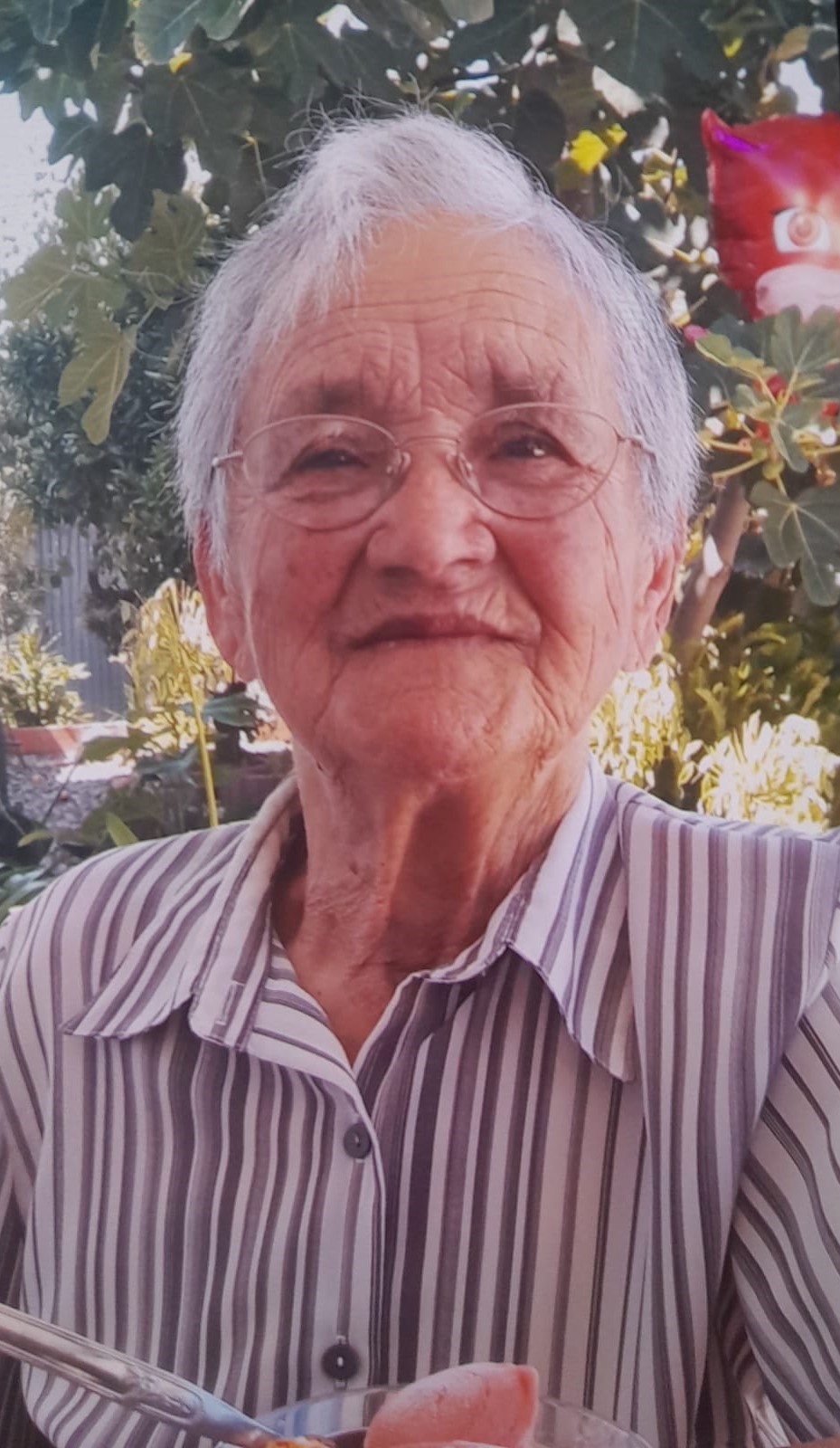 Aldora de Jesus Neto Gregório
